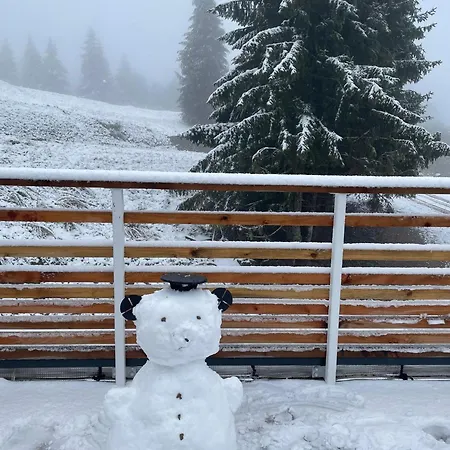 Au Pied Des Pistes Avec Grande Terrasse