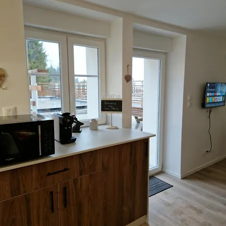 Au Pied Des Pistes Avec Grande Terrasse *