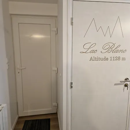 Au Pied Des Pistes Avec Grande Terrasse * Orbey