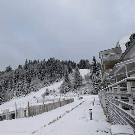 Au Pied Des Pistes Avec Grande Terrasse * Orbey