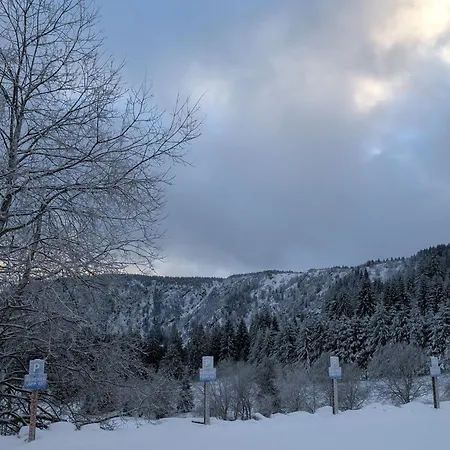 Au Pied Des Pistes Avec Grande Terrasse Apartment *