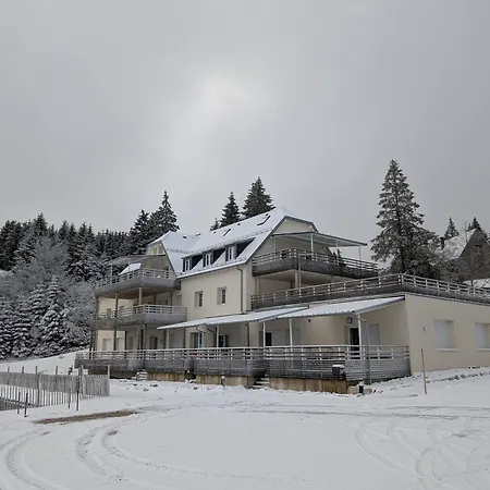Au Pied Des Pistes Avec Grande Terrasse Apartamento Orbey